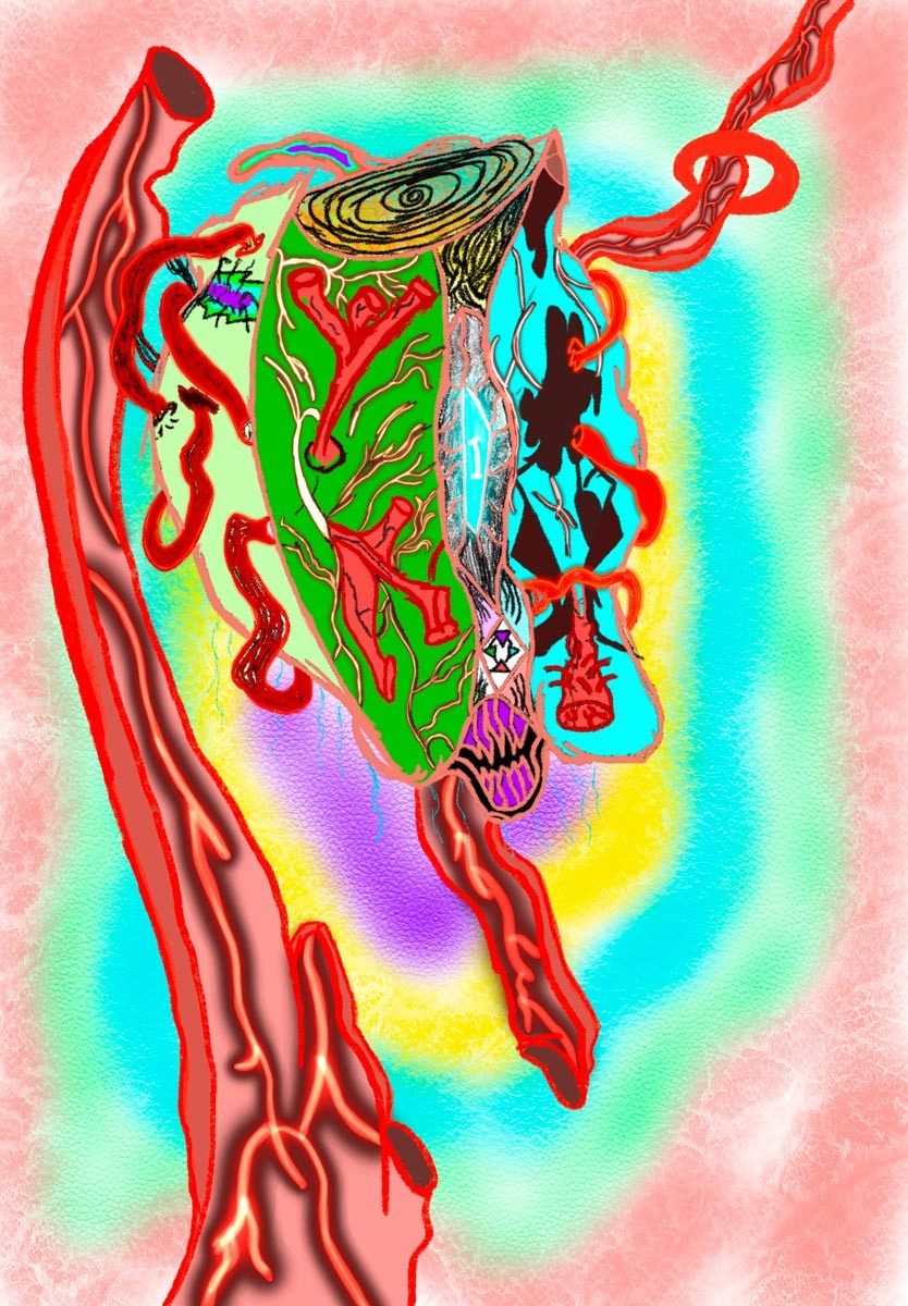 sova 2025 bfa1